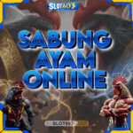 SABUNG AYAM